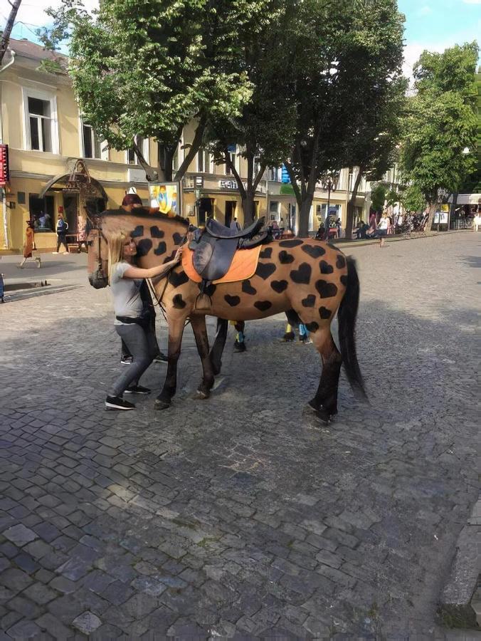 "Ваша Квартира" - У Самого Дерибаса! "Ваша Квартира" Біля Самого Дерибаса! Odessa Dış mekan fotoğraf